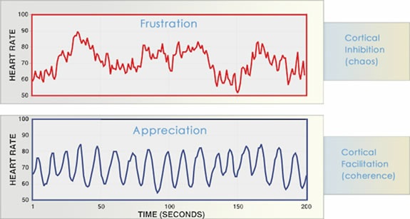 Comparison of the heart rhythm of frustration versus appreciation