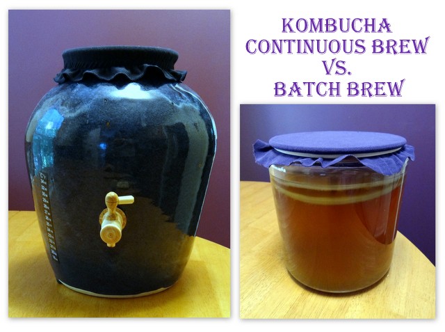 Continuous Brew Kombucha vs Batch Brew. Which is Better? | Phoenix Helix