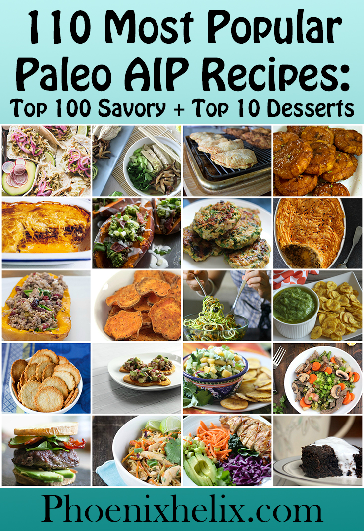 110 Most Popular Paleo AIP Recipes: Top 100 Savory + Top ...