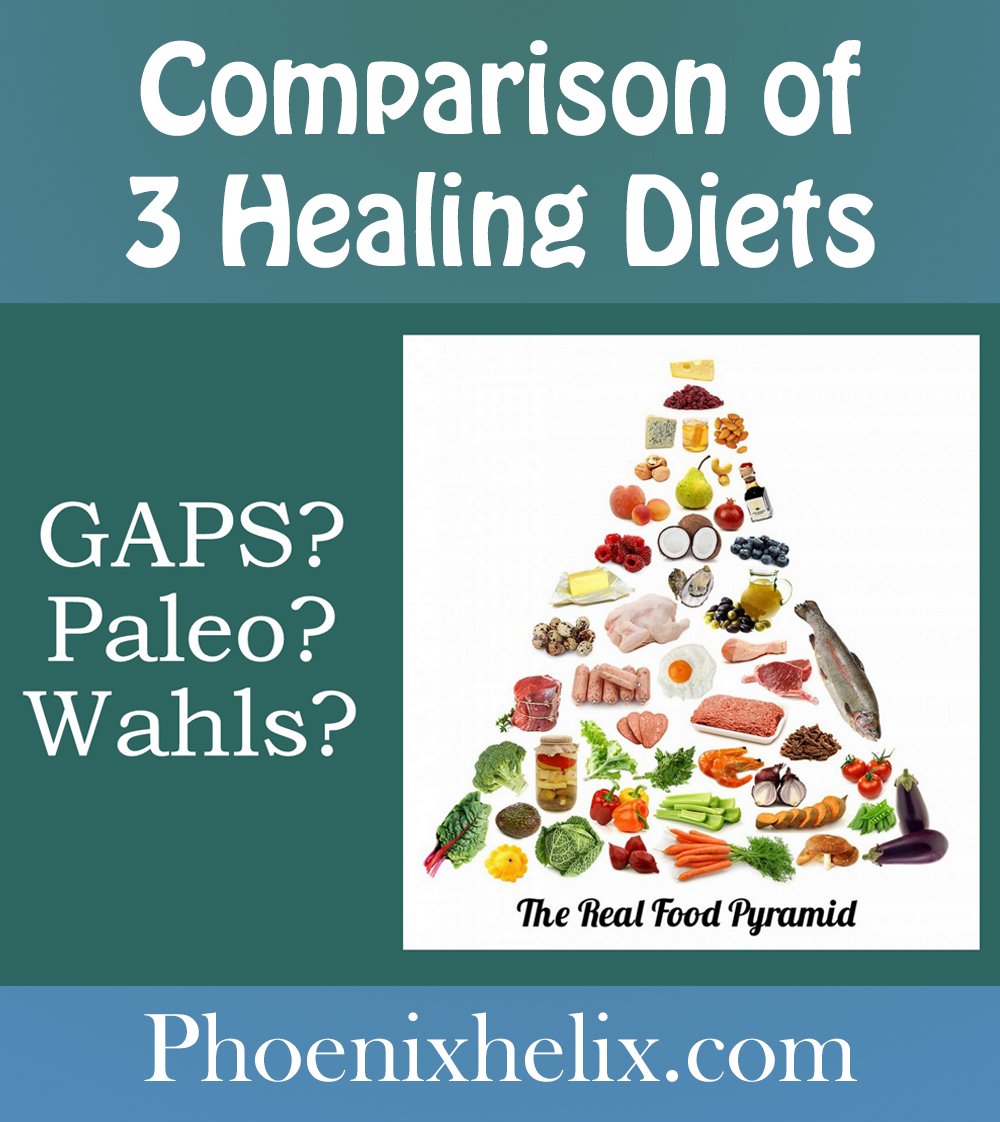 Comparison of 3 Healing Diets | Phoenix Helix