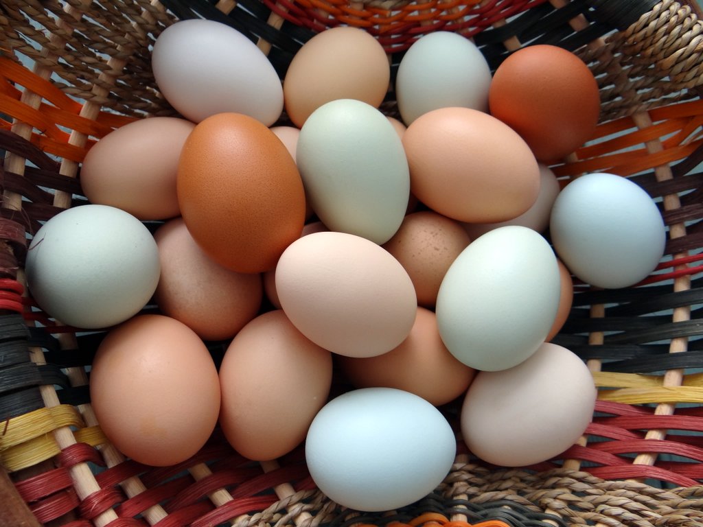 a basket of eggs