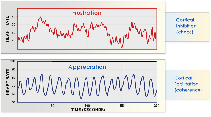 graph showing heart rhythm in chaos vs coherence