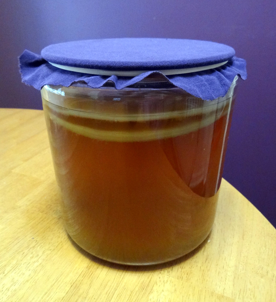 a gallon jar of brewing kombucha with a purple cover on top