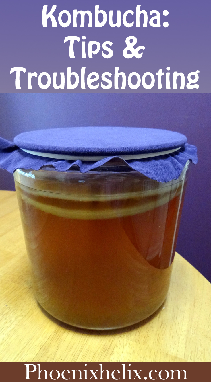 Kombucha: Tips & Troubleshooting | Phoenix Helix