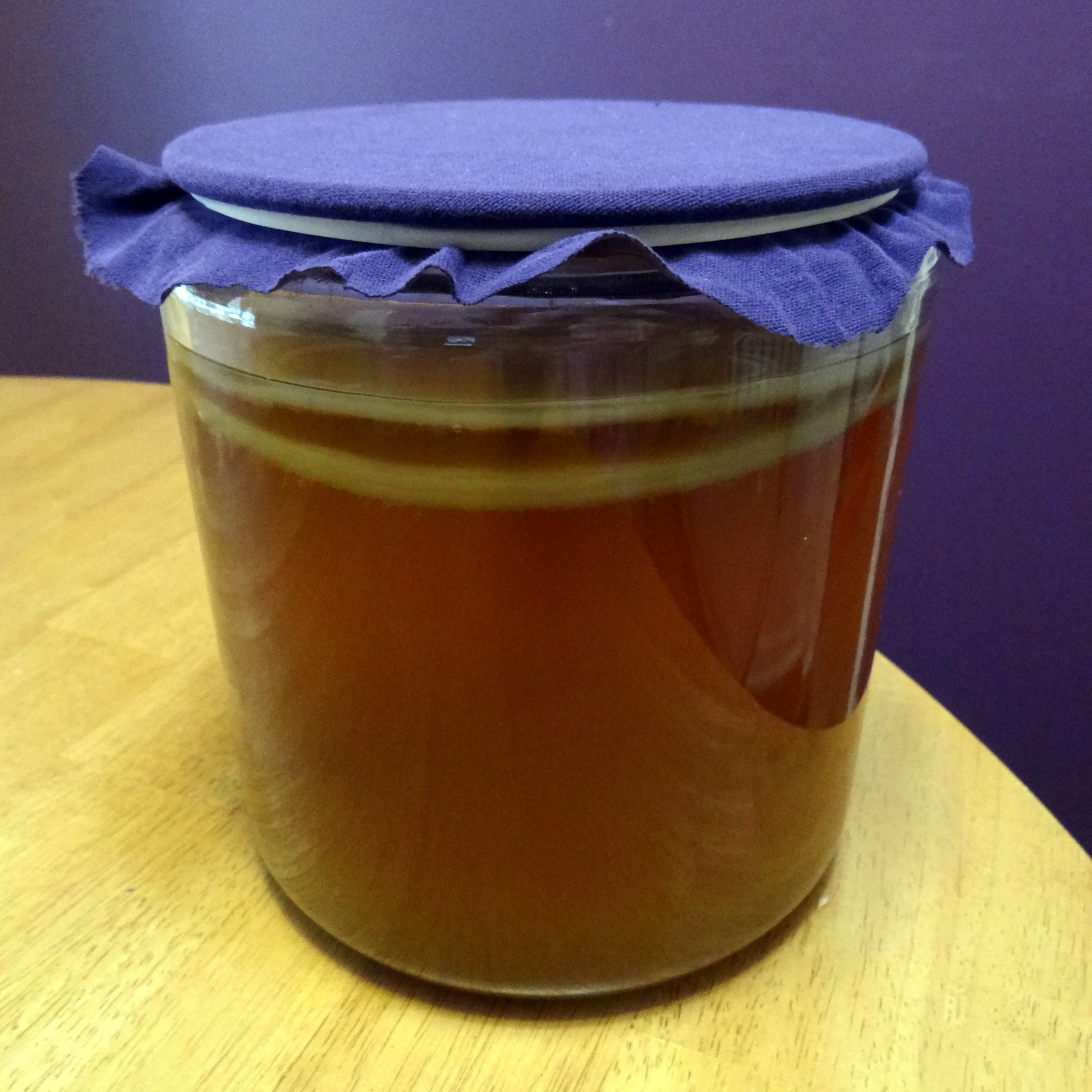 Phoenix Fungi - Kombucha SCOBY With Starter Tea - 2 Litre Live Culture - View #8