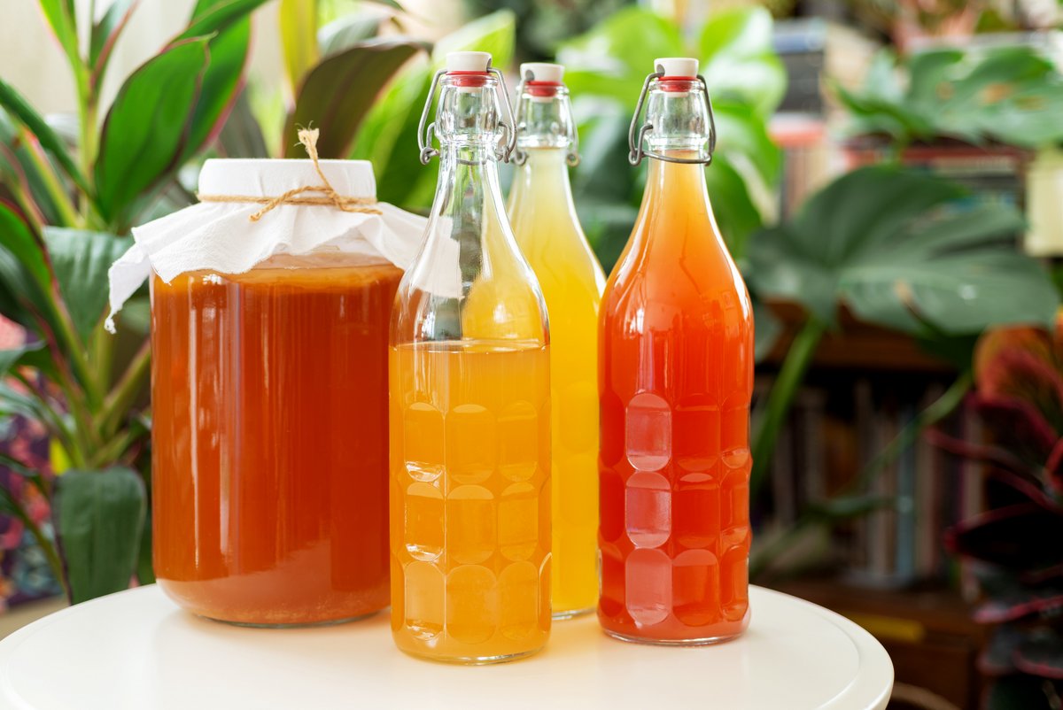 bottles of brewed kombucha with various colors and flavors