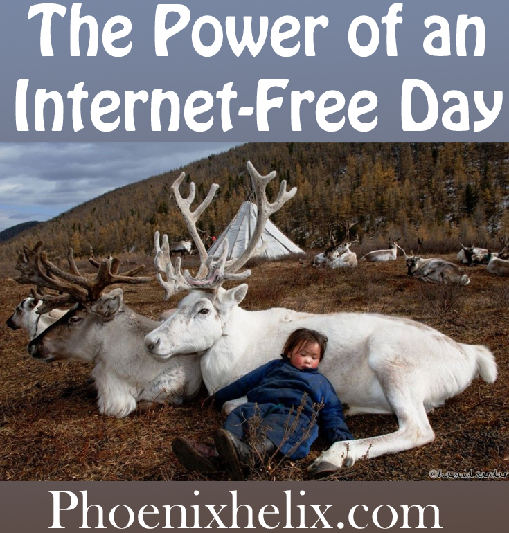 The Power of an Internet-Free Day | Phoenix Helix