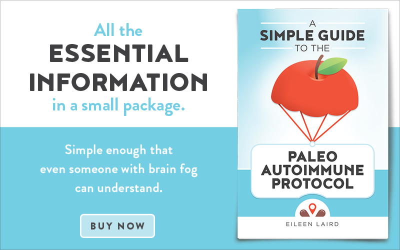 Simple Guide to the Paleo Autoimmune Protocol | Phoenix Helix Ad: Simple Guide to the Paleo Autoimmune Protocol – Buy Now