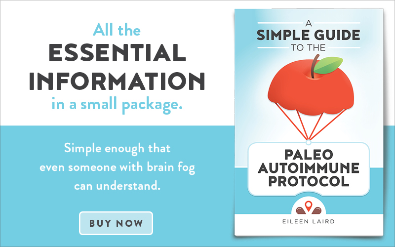 Ad: Simple Guide to the Paleo Autoimmune Protocol – Buy Now