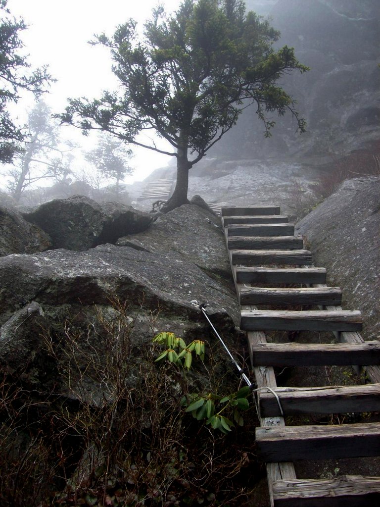 Ladders going up a rocky mountainside