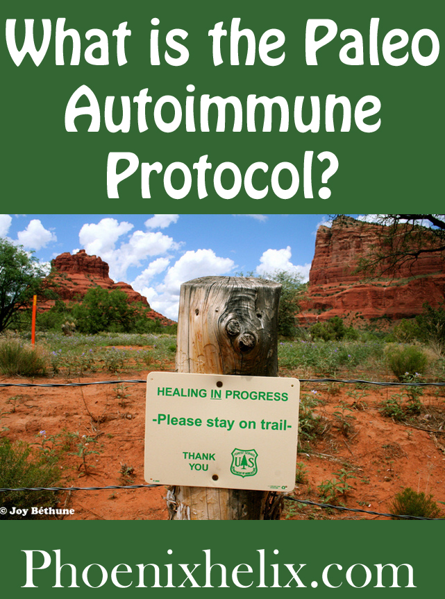 What is the Paleo Autoimmune Protocol? | Phoenix Helix