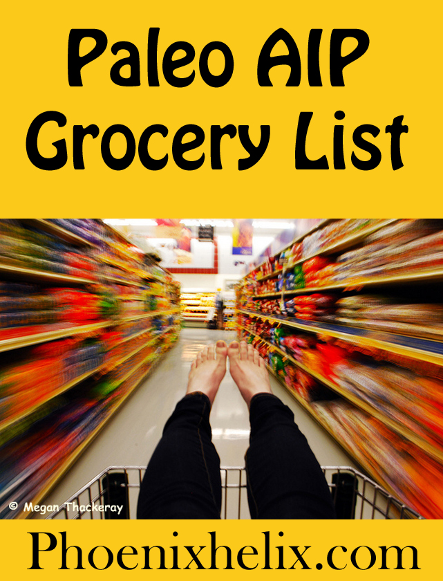 Paleo AIP Grocery List | Phoenix Helix