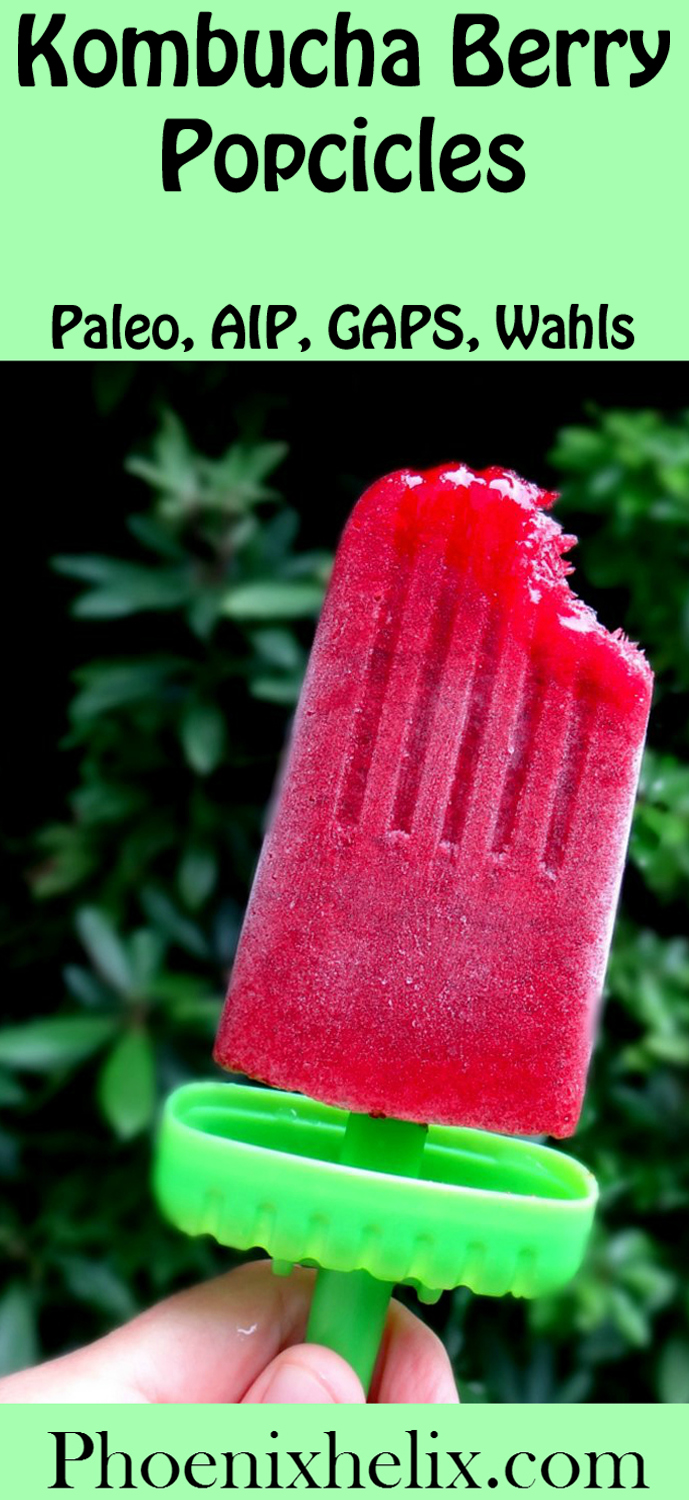 Kombucha Berry Popsicles | Phoenix Helix