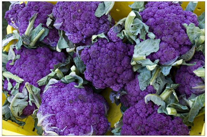 purple cauliflower