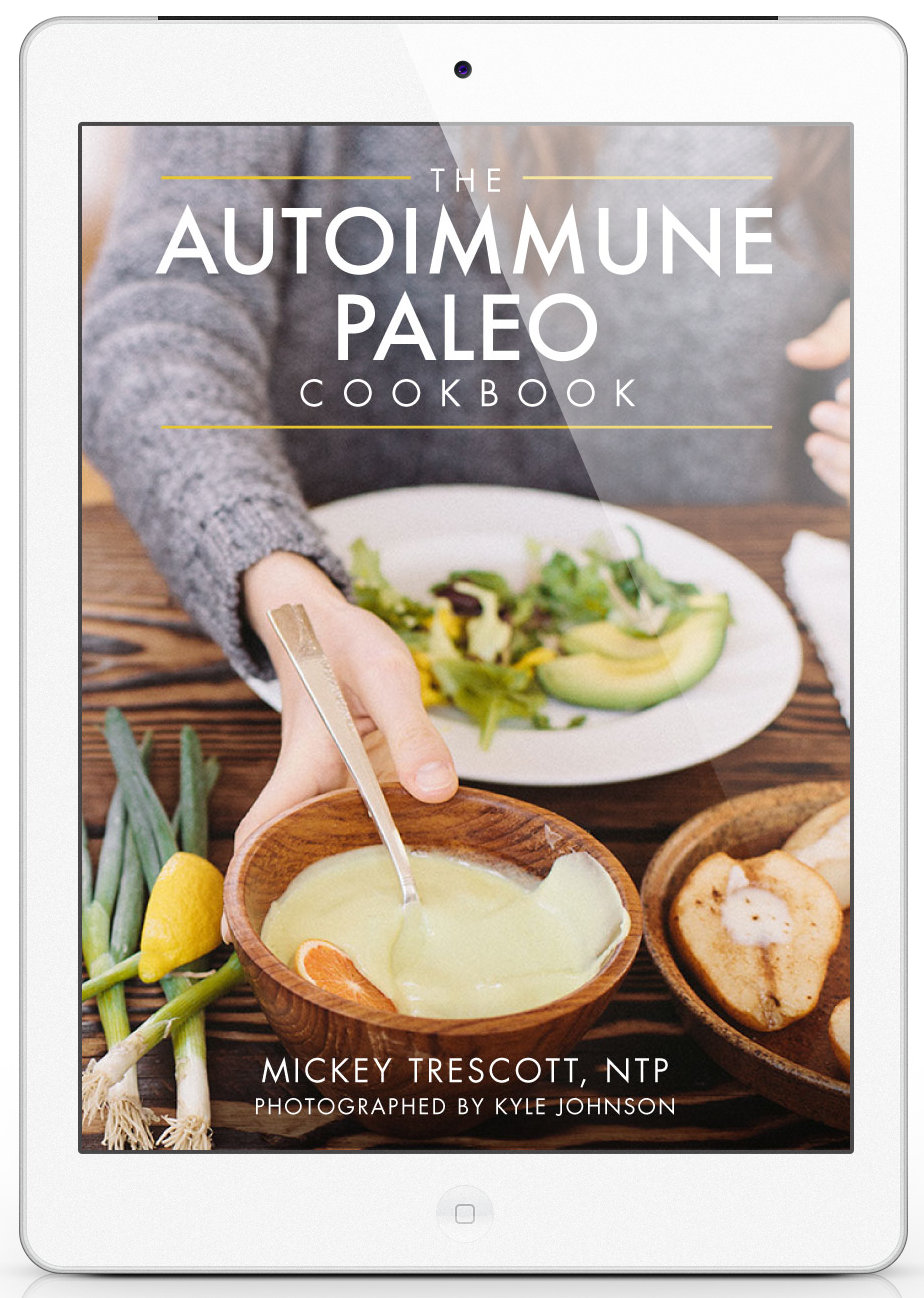 Autoimmune Paleo E-Cookbook Review and Sample Recipe | Phoenix Helix