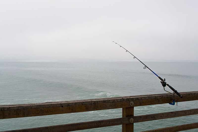 fishing pole attached to a pier with the ocean behind it
