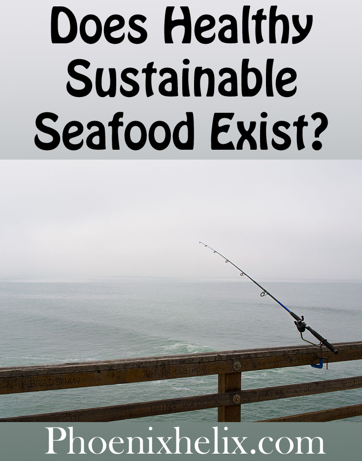 Does Healthy Sustainable Seafood Exist? | Phoenix Helix