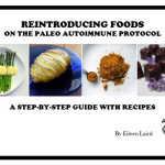 Paleo Autoimmune Protocol Series