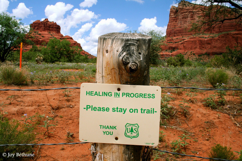 Sign in a natural park: Healing in progress - please stay on trail
