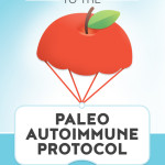 Paleo Autoimmune Protocol Series