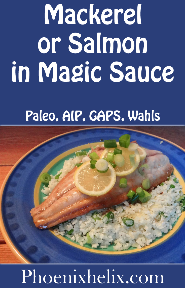 Mackerel or Salmon in Magic Sauce | Phoenix Helix