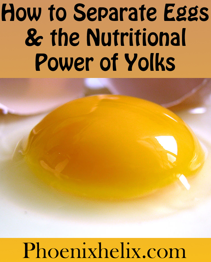 How to Separate Eggs & the Nutritional Power of Yolks | Phoenix Helix