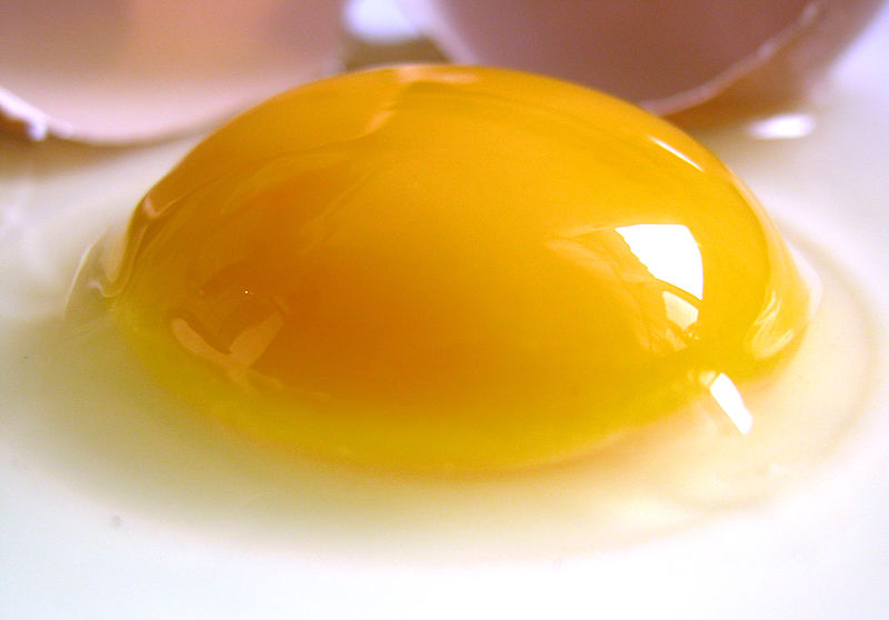 raw egg with a bright yellow yolk