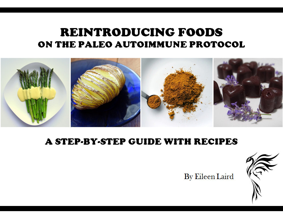 The Paleo AIP Reintroduction Guide E-Book with Recipes