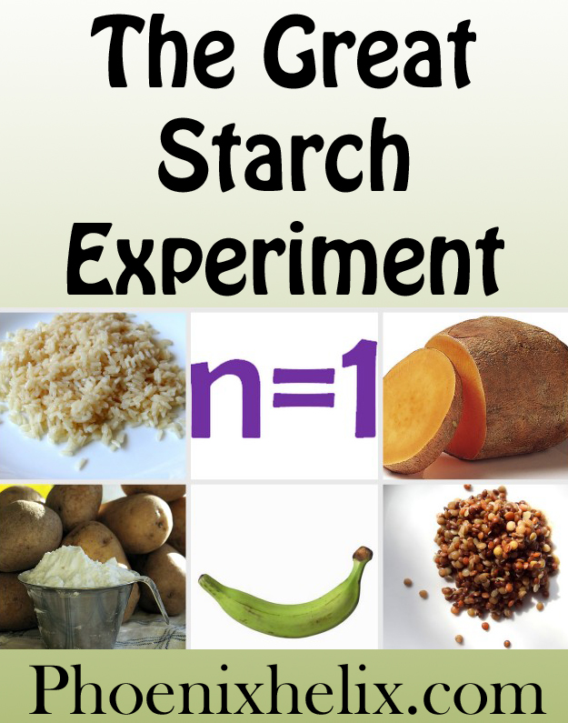 The Great Starch Experiment | Phoenix Helix