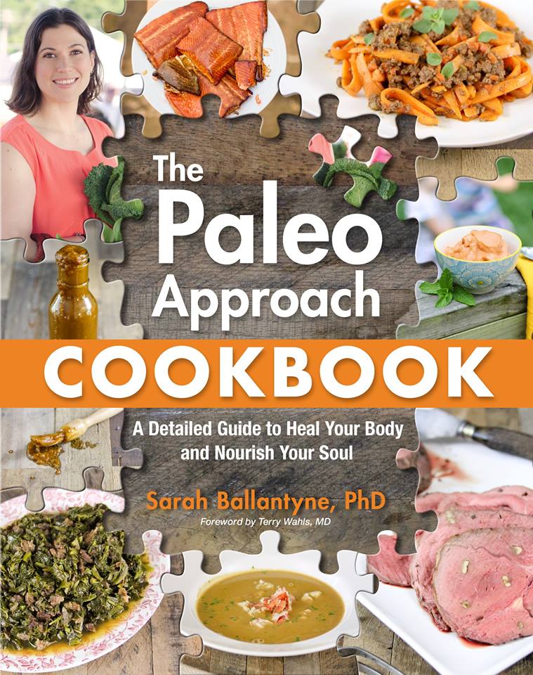 The Paleo Approach Cookbook Review and Sample Recipe | Phoenix Helix