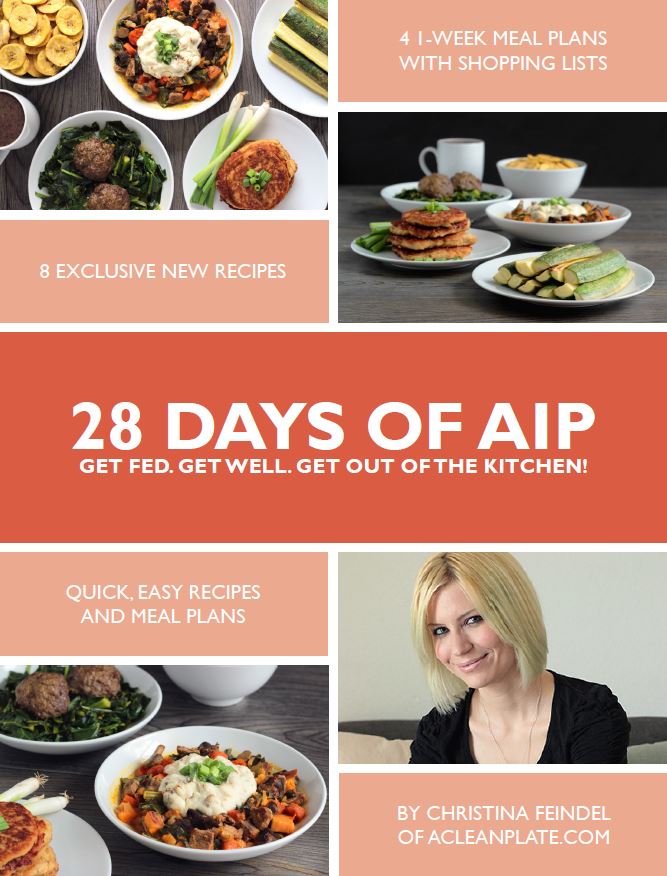 Paleo AIP Meal Plan Review | Phoenix Helix