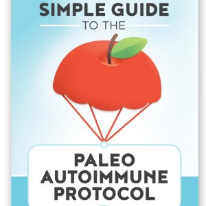 Simple Guide to the AIP