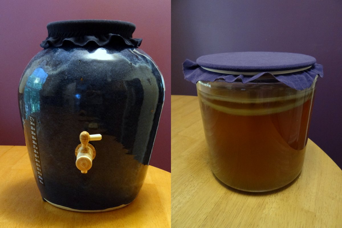 a continuous brew vessel next to a traditional gallon batch of kombucha