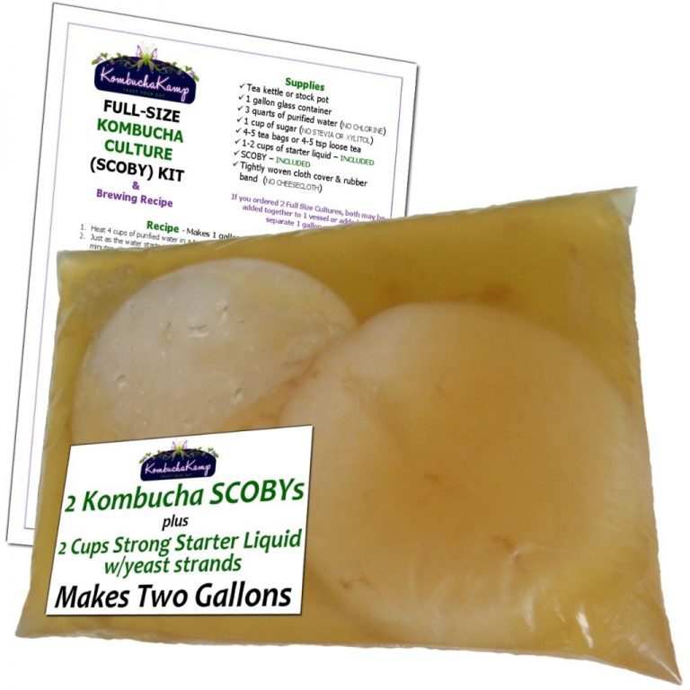 Continuous Brew Kombucha vs Batch Brew. Which is Better? Phoenix Helix