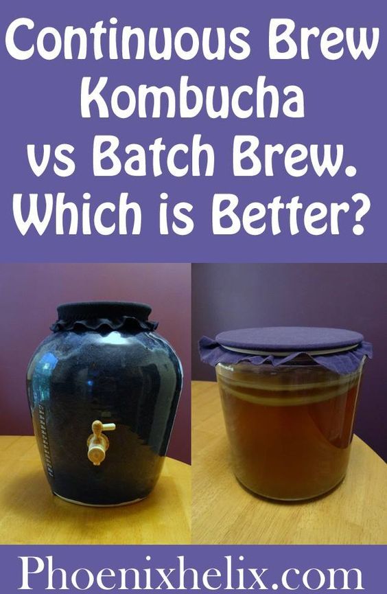 Continuous Brew Kombucha vs Batch Brew. Which is Better? | Phoenix Helix