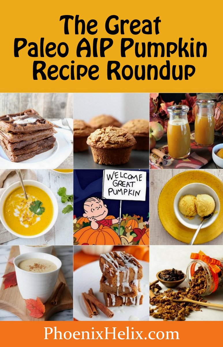 The Great Paleo AIP Pumpkin Recipe Roundup (50 Recipes!) | Phoenix Helix