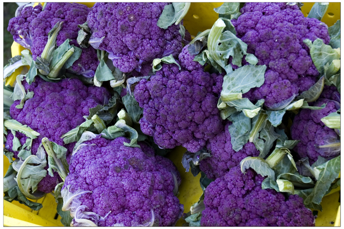 bright purple cauliflower