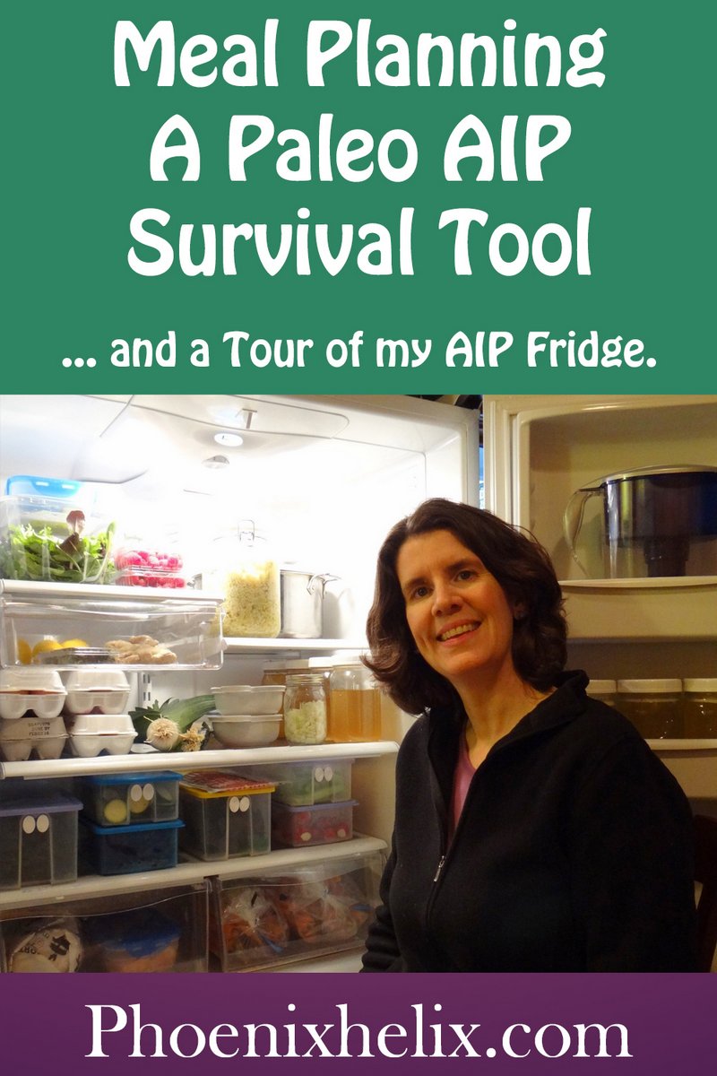 Meal Planning - A Paleo AIP Survival Tool | Phoenix Helix