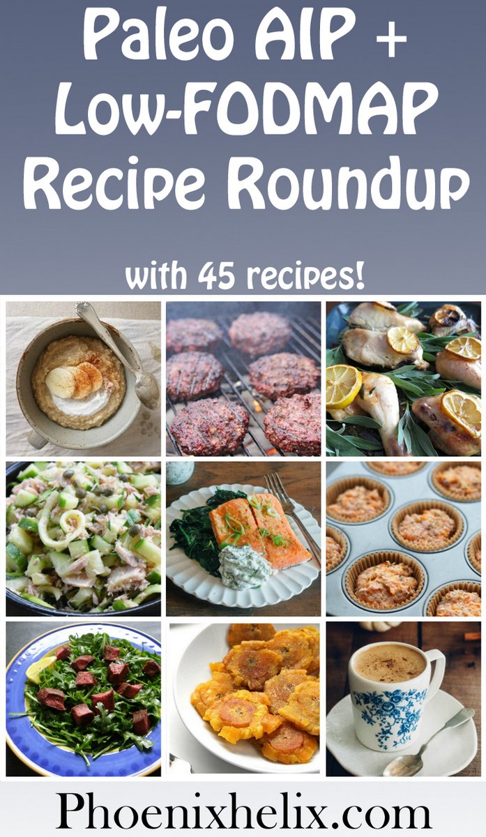 Paleo AIP + Low-FODMAP Recipe Roundup (45 Recipes!) | Phoenix Helix