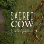 sacred cow documentary