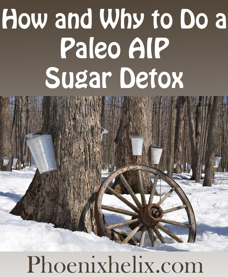 How and Why to do a Paleo AIP Sugar Detox | Phoenix Helix