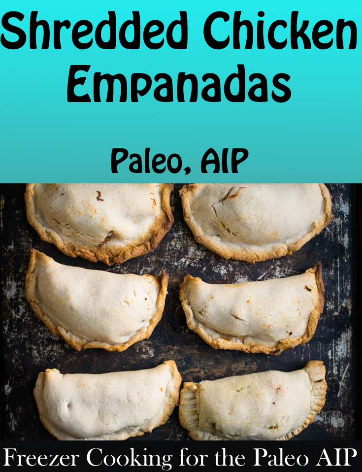 Freezer Cooking for the Paleo AIP Cookbook Review & Sample Recipe for Shredded Chicken Empanadas | Phoenix Helix