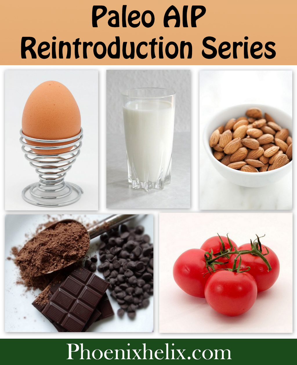 Paleo AIP Reintroduction Series | Phoenix Helix