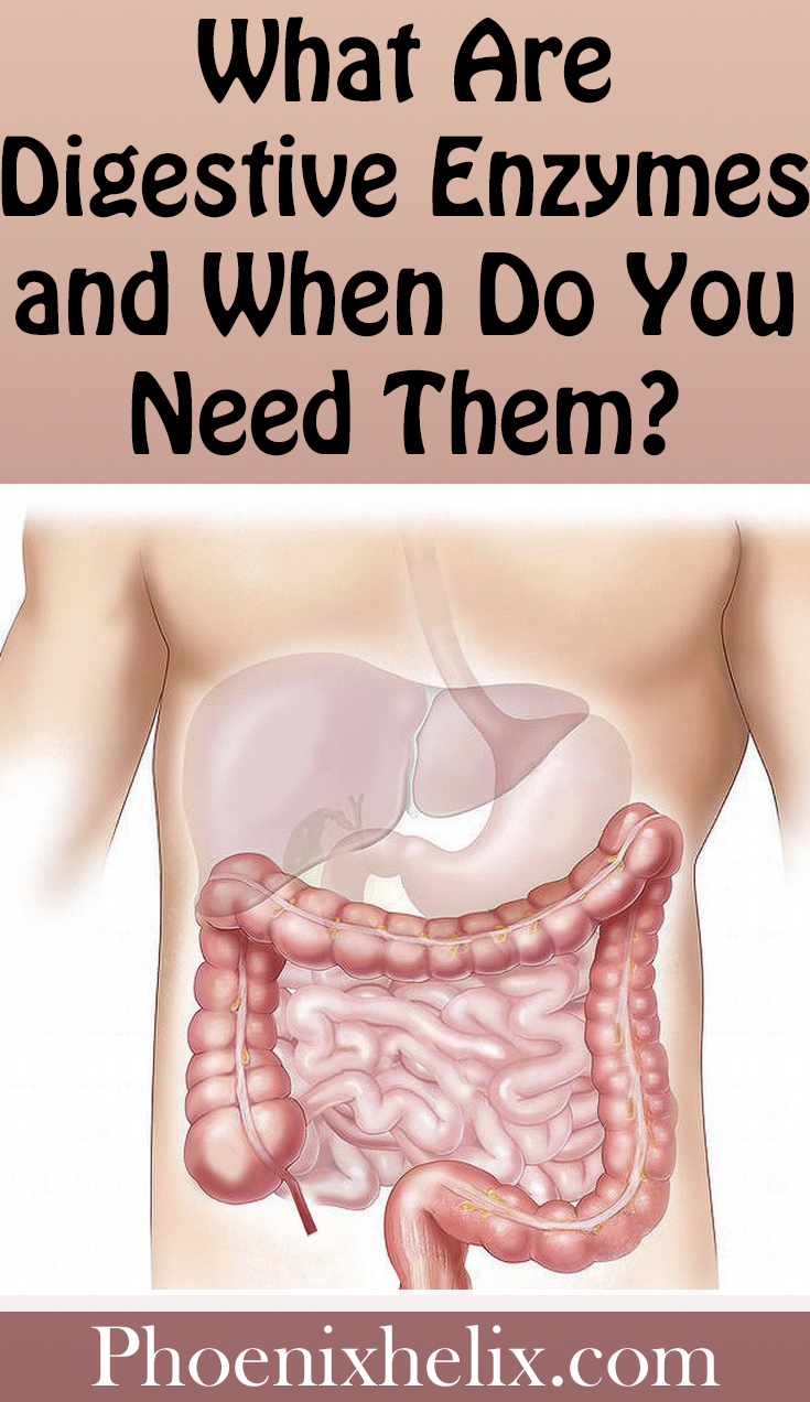 What Are Digestive Enzymes and When Do You Need Them? | Phoenix Helix