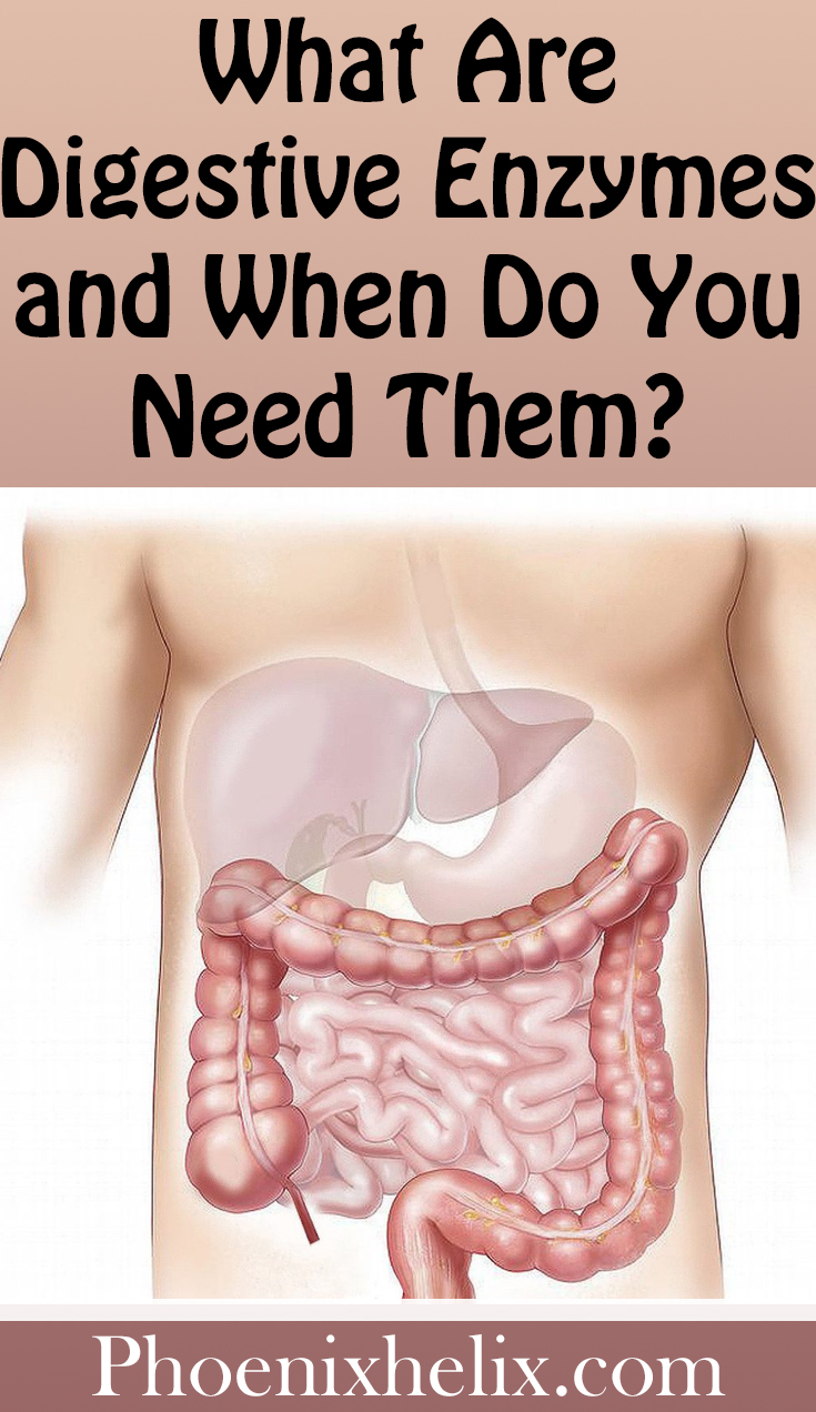 What Are Digestive Enzymes and When Do You Need Them? - Phoenix Helix