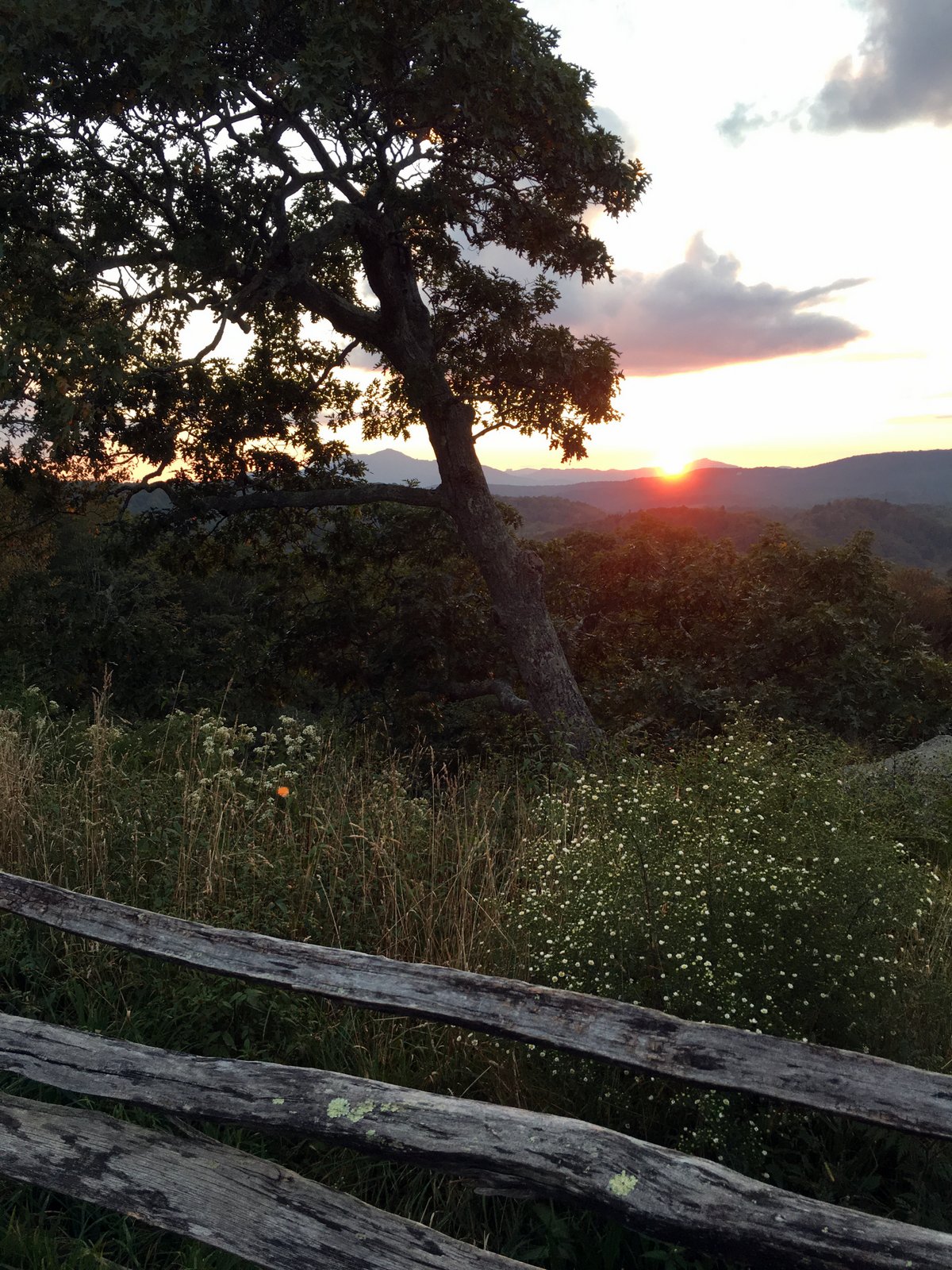 sun setting over the mountains with a tree and wooden fence in the foreground