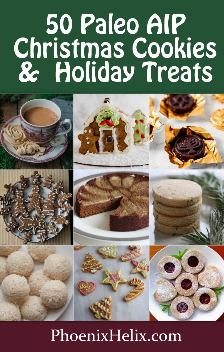 50 Paleo AIP Christmas Cookies & Holiday Treats | Phoenix Helix