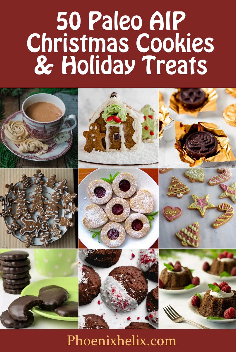 50 Paleo AIP Christmas Cookies & Holiday Treats | Phoenix Helix