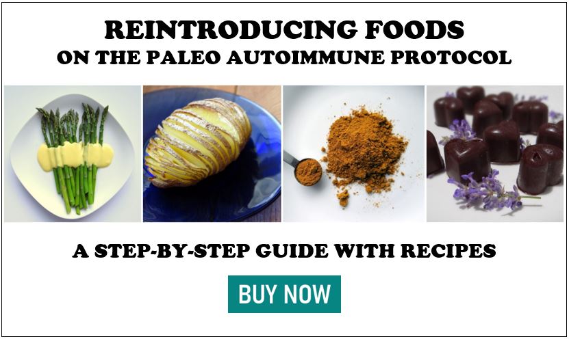 Ad: Paleo AIP Reintroduction Guide with Recipes - Buy Now