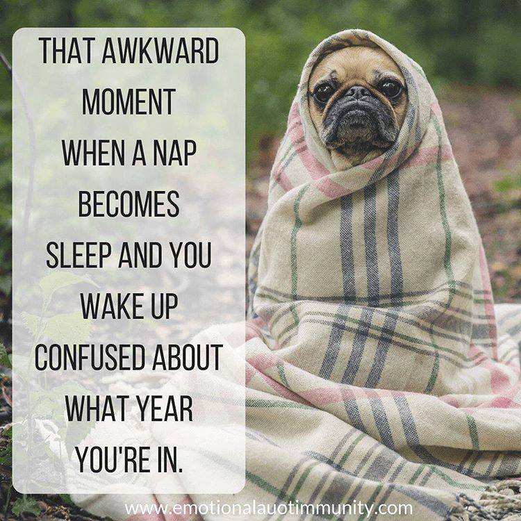 That awkward moment when a nap becomes sleep and you wake up confused about what year you're in